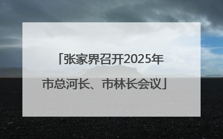 张家界召开2025年市总河长、市林长会议